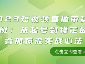 2023短视频直播带货培训班：从起号到稳定盈利叠加爆流实战心法（11节课）