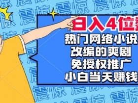热门网络小说改编的爽剧，免授权推广，新人当天就能赚钱，日入4位数【揭秘】