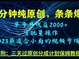 三分钟制作视频号纯原创，条条爆款，轻松月入过万【揭秘】