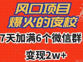 全网首发，爆火的夜校，7天加满6个微信群，变现2w+【揭秘】