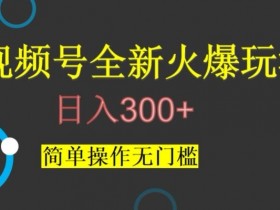 视频号最新爆火玩法，日入300+，简单操作无门槛【揭秘】