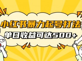 小红书暴力起号秘籍，11月最新玩法，单天变现500+，素人冷启动自媒体创业【揭秘】