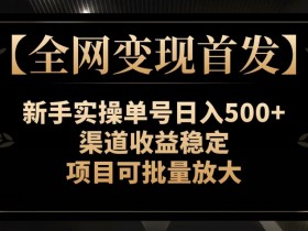 【全网变现首发】新手实操单号日入500+，渠道收益稳定，项目可批量放大【揭秘】