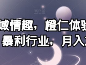 私域情趣，橙仁体验馆，暴利行业，月入2w【揭秘】