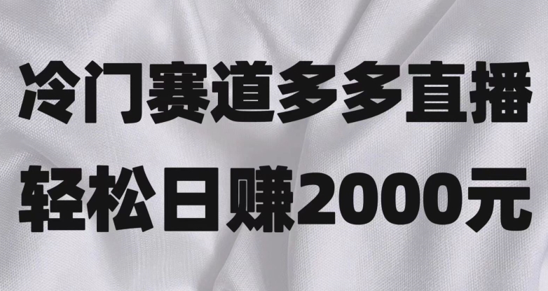 冷门赛道拼多多直播,简单念稿子,日收益2000+【揭秘】 冷门赛道拼多多直播,简单念稿子,日收益2000+【揭秘】