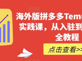 海外版拼多多Temu从零到一实践课，从入驻到运营的最全教程
