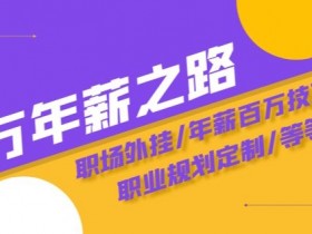 通往百万年薪之路·陪跑训练营：职场外挂/年薪百万技巧/职业规划定制/等等