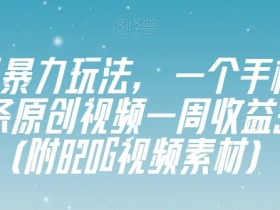 视频号暴力玩法，一个手机几分钟一条原创视频一周收益3800+（附820G视频素材）