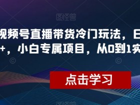 视频号直播带货冷门玩法，日入1000+，小白专属项目，从0到1实战教学【揭秘】