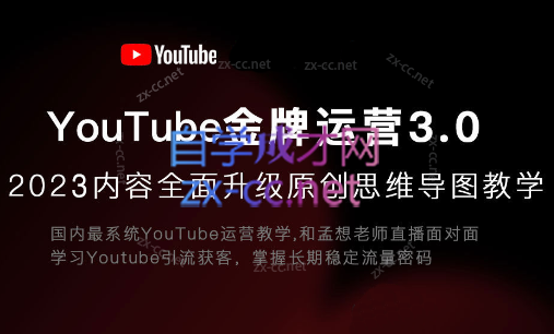 孟想老师·Youtube金牌运营直播训练营