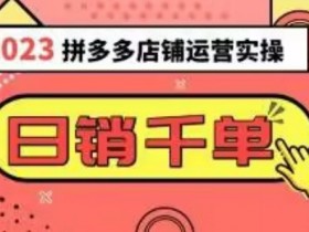 2023拼多多运营实操，每天30分钟日销1000＋，爆款选品技巧大全（10节课）