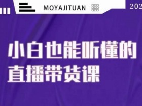 大威本威·能听懂的直播带货课，小白也能听懂，20节完整