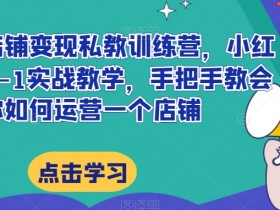 小红书店铺变现私教训练营，小红书店铺0-1实战教学，手把手教会你如何运营一个店铺