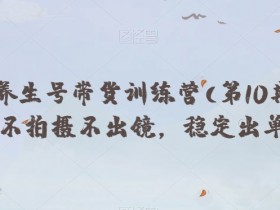 抖音养生号带货训练营(第10期），不拍摄不出镜，稳定出单