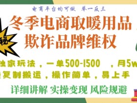 利用电商平台冬季销售取暖用品欺诈行为合理制裁店铺，单日入900+【仅揭秘】