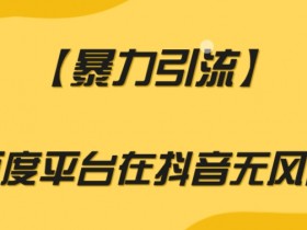 【暴力引流】利用百度平台在抖音无风险引流【揭秘】