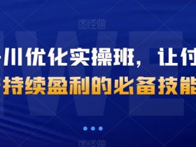 抖音千川优化实操班，让付费投产持续盈利的必备技能