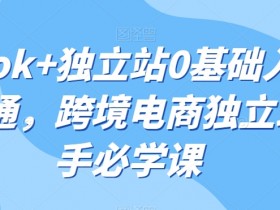 tiktok+独立站0基础入门到精通，跨境电商独立站新手必学课