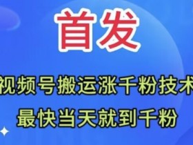 全网首发：视频号无脑搬运涨千粉技术，最快当天到千粉【揭秘】
