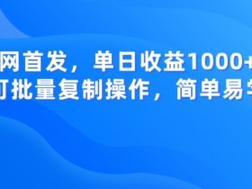 全网首发，单日收益1000+，可批量复制操作，简单易学【揭秘】