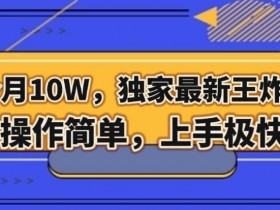 三个月10W，独家最新王炸项目！操作简单，上手极快【揭秘】