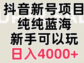 抖音蓝海赛道，必须是新账号，日入4000+【揭秘】
