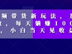 短视频带货新玩法，加个特效，每天躺赚1000+，小白当天见收益【揭秘】