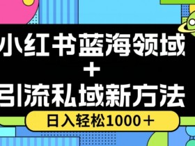 小红书蓝海虚拟＋引流私域新方法，100%不限流，日入轻松1000＋，小白无脑操作【揭秘】