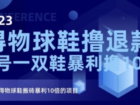 2023得物球鞋撸退款，单号一双鞋暴利撸1000，一个比得物球鞋搬砖暴利10倍的项目【揭秘】