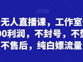拼多多无人直播课，工作室一天打底5000利润，不封号，不垫资，不售后，纯白嫖流量