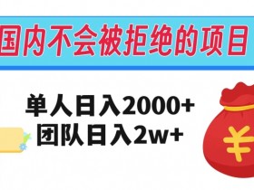 在国内不怕被拒绝的项目，单人日入2000，团队日入20000+【揭秘】