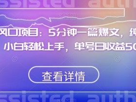 红利风口项目：5分钟一篇爆文，纯AI处理，小白轻松上手，单号日收益500+【揭秘】