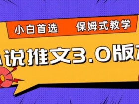 小说推文3.0玩法，日入两千+，保姆式教学，小白首选【揭秘】