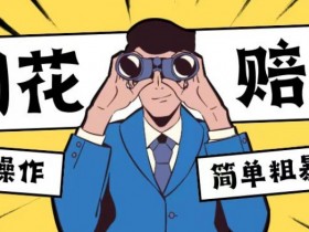 最新蓝海玩法，烟花爆竹赔付，单订单赔付200-500无脑操作【仅揭秘】