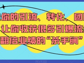 打造你的引流、转化、团队系统，让你收获很多引爆流量、翻倍业绩的“杀手锏”