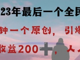 反向演绎详解，引爆评论区，每日稳稳收益200+，2023最后一个全民项目【揭秘】
