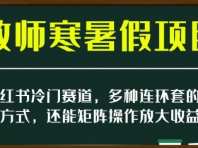 小红书冷门赛道，教师寒暑假项目，多种连环套的变现方式，还能矩阵操作放大收益【揭秘】
