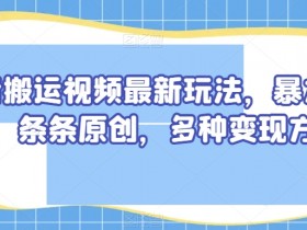 抖音搬运视频最新玩法，暴力涨粉，条条原创，多种变现方式【揭秘】