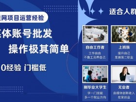 新媒体账号批发，操作极其简单，0基础0经验门槛低【揭秘】