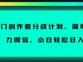 冷门创作者分成计划，简单上手，暴力搬运，小白轻松日入500+【揭秘】