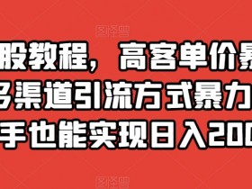 靠炒股教程，高客单价暴力变现，多渠道引流方式暴力涨粉，新手也能实现日入2000+【揭秘】
