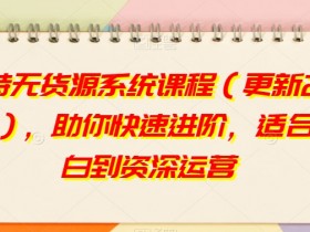 淘特无货源系统课程（更新2023），助你快速进阶，适合小白到资深运营