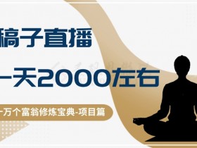 十万个富翁修炼宝典之3.念稿子直播，一天2000左右