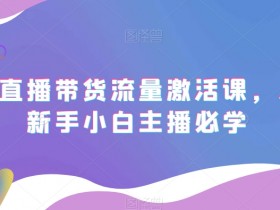 抖音直播带货流量激活课，入行新手小白主播必学