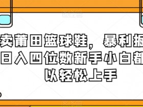 卖莆田篮球鞋，暴利掘金日入四位数新手小白都可以轻松上手【揭秘】