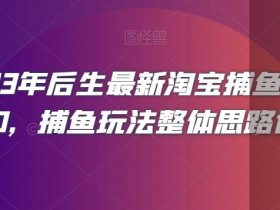 2023年后生最新淘宝捕鱼玩法2.0，捕鱼玩法整体思路详解