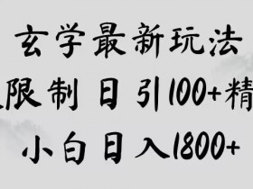 玄学新玩法，突破限制，日引100+精准粉，小白日入1800+【揭秘】
