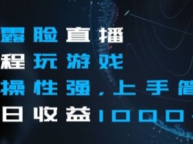 不露脸直播全程玩游戏，实操性强，上手简单，单日收益1000+【揭秘】
