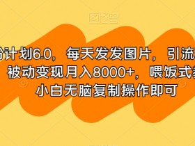 男粉计划6.0，每天发发图片，引流精准男粉，被动变现月入8000+，喂饭式教学，小白无脑复制操作即可