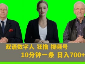 Ai生成双语数字人狂撸视频号，日入700+内附251G素材【揭秘】